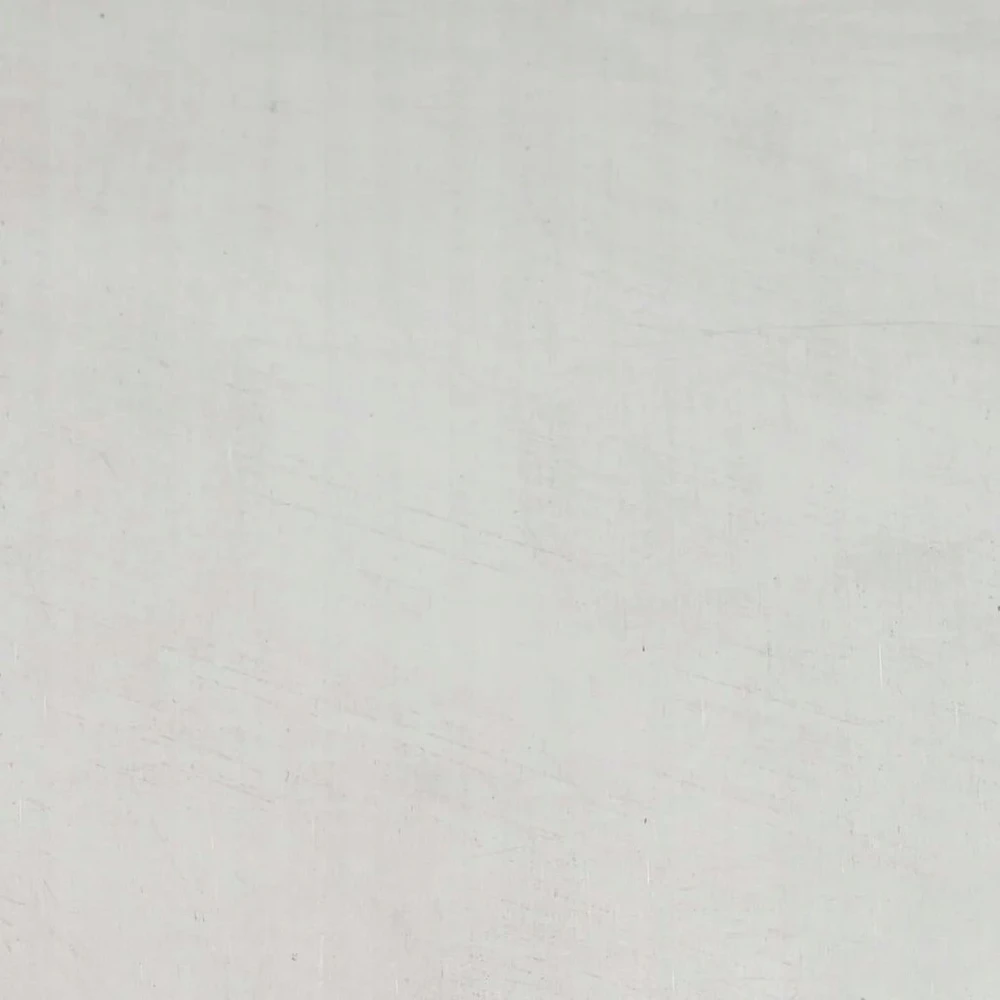 Sodo privatumo ekranas Sidabro 50 x 140 cm Nerūdijantis plienas