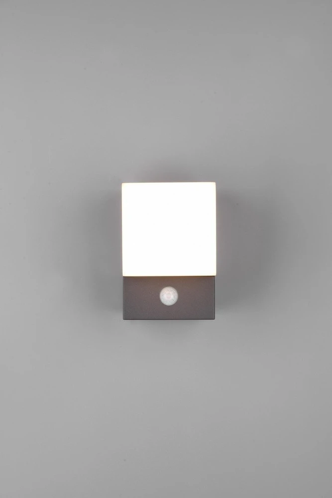 DELIGHT Trio sieninis šviestuvas Avon 270660242 sieninis šviestuvas lauko sieninis šviestuvas IP54 2x7W LED 3000K antracitas