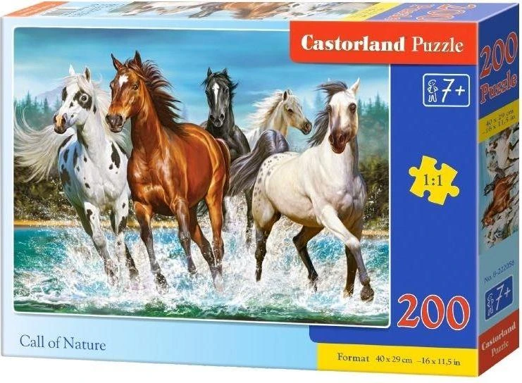 Castorland Dėlionė 200 vnt. - Žirgai aprašymas - Prekės nuotrauka