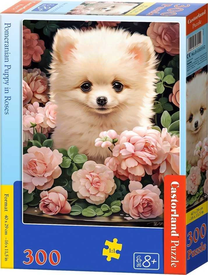 Castorland dėlionė Pomeranian Puppy in Roses 300 det.
