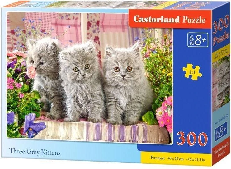 Castorland dėlionė Three Pilkas Kittens 300 det.