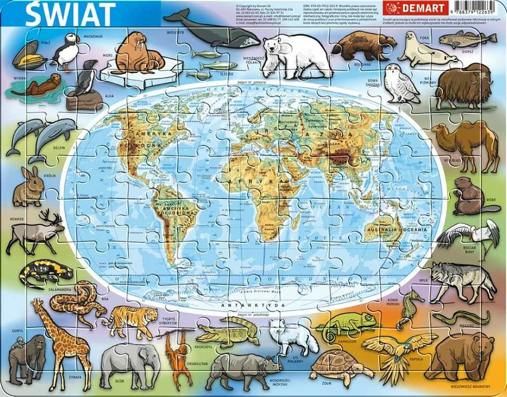 Dėlionė Demart Puzzle ramkowe - Świat fizyczna
