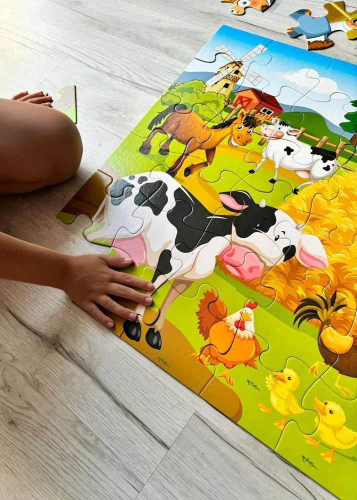 Dėlionė Jumbo Puzzle 48 Jumbo pharma