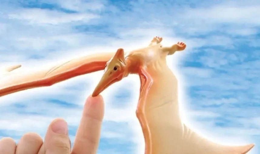 Dėlionė Teka Balansuj±cy pteranodon galvosūkis