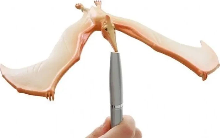 Dėlionė Teka Balansuj±cy pteranodon galvosūkis