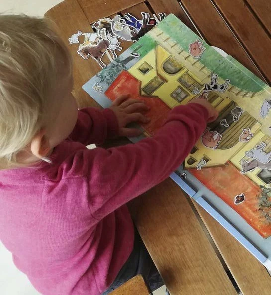 Dėlionė Teka galvosūkis, magnetinis žaidimas, džiunglės