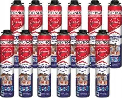 Dell PU purškiama izoliacija „Polynor Home“, 750 ml