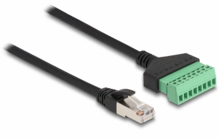 Delock DELOCK RJ45 Kabelis Cat.6 St > Terminalblock Adapteris 30cm 2tlg
