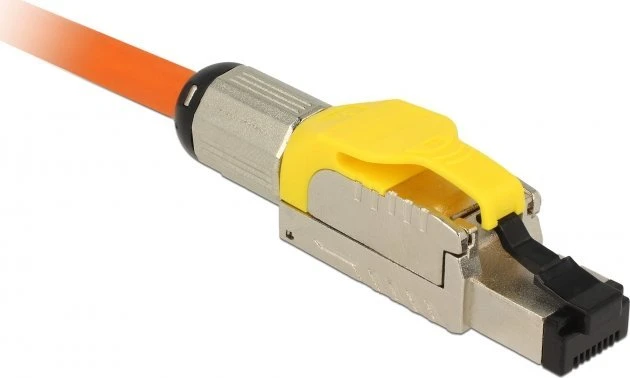 Delock RJ45 kištuko lauko mazgas Cat.6A metalinis