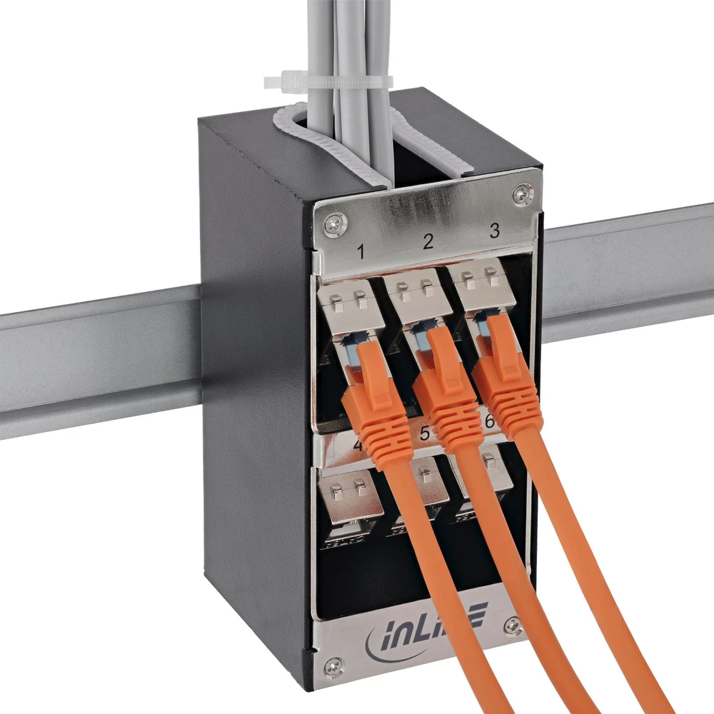 Delock InLine® 12 prievadų Cat.6A skirstytuvas sienai/bėgiui su Keystone moduliais