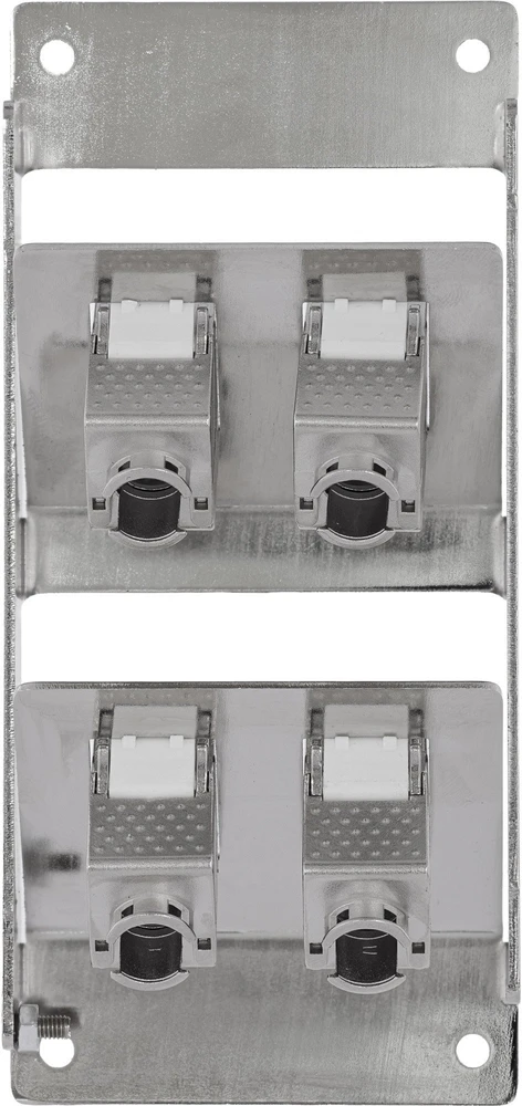 Delock InLine® 4 prievadų Cat.6A skirstytuvas sienai/kolonai, įskaitant Keystone modulius