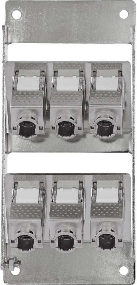 Delock InLine® 6 prievadų Cat.6A skirstytuvas, skirtas montuoti ant sienos/bėgio, su Keystone moduliais