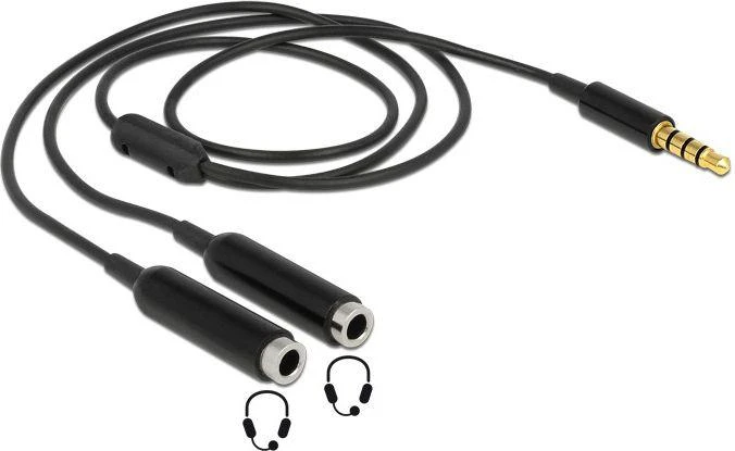 Delock skirstytuvo lizdo kištukas 3,5 mm 4 kontaktai> 2 x lizdas 3,5 mm 4 kontaktai 25 cm