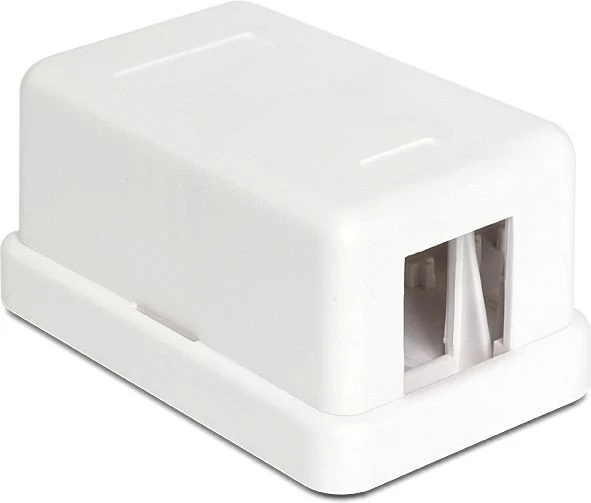 Delock KEYSTONE FX-MULTI JUNGČIŲ TST KORUSAS