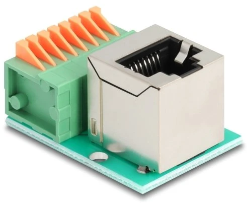 Delock RJ45 lizdas 90° kampu į gnybtų bloką su mygtuku Cat.5e