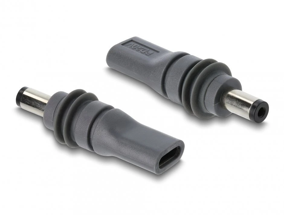 Delock USB Type-C™ lizdas į DC 5,5 x 2,1 mm adapterį, suderinamas su Starlink Mini, pilkas (91827)
