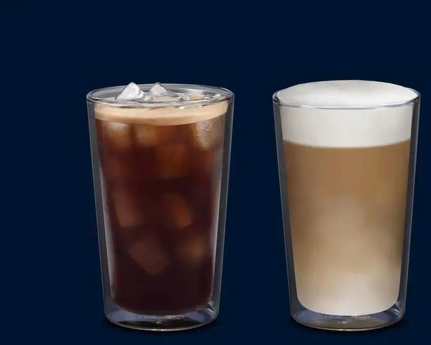 De'Longhi DLSC319 2 x 480 ml