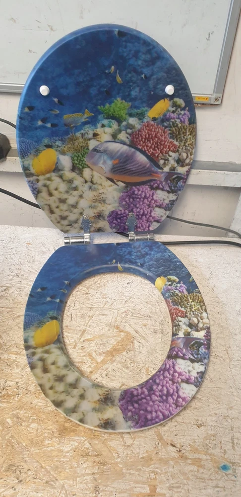 Tualeto sėdynė FISH, MDF, WENKO