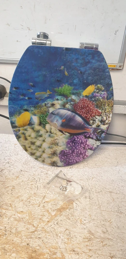 Tualeto sėdynė FISH, MDF, WENKO