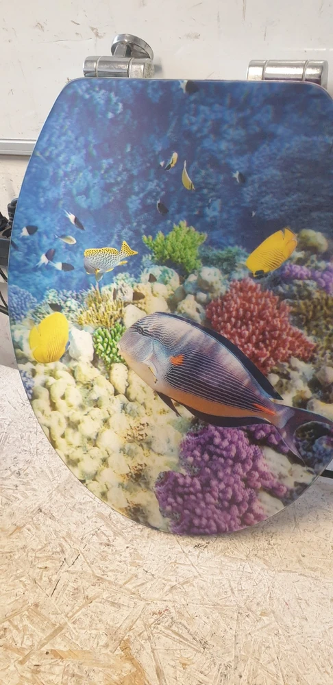 Tualeto sėdynė FISH, MDF, WENKO