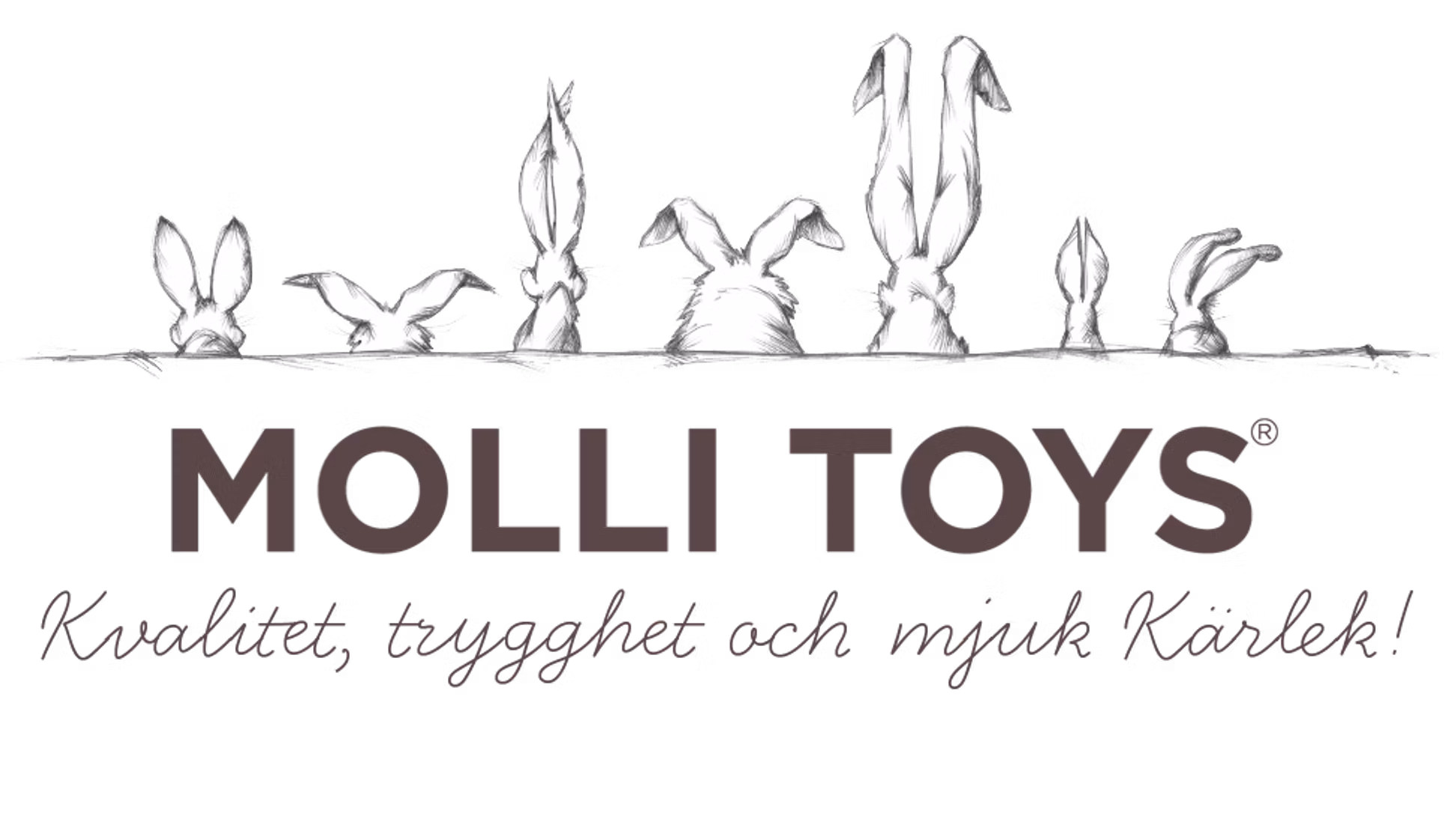 Molli Toys Pliušinis žaislas - berno zenenhundas, 30 cm aprašymas - Prekės nuotrauka