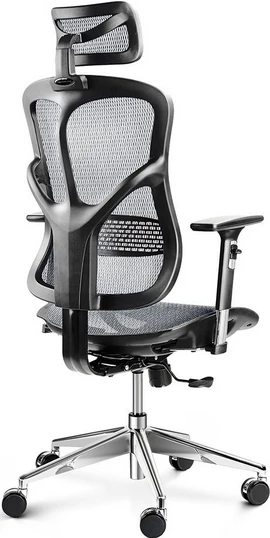Ergonominė Diablo V-Basic kėdė iš galo