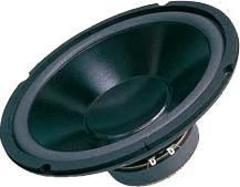 Dibeisi Garsiakalbis 10" DBS-G1001 8 omų