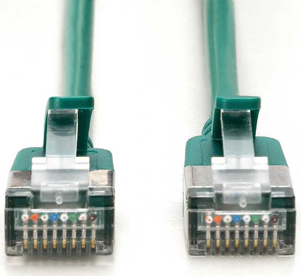 Digitus CAT 6A klasa E, F/FTP, skrętka patch, Cu, LSZH, AWG 32/7, ilgis: 0,3 m, žalia