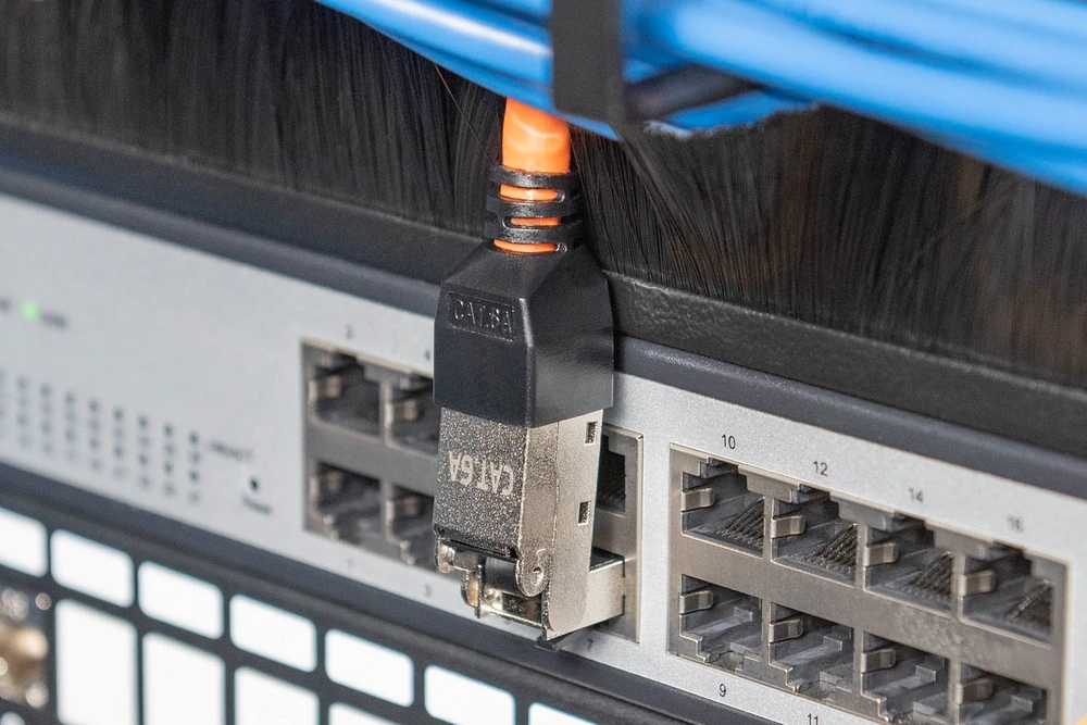 Digitus DIGITUS CAT 6A lauko kištukas, lankstomas, apsauginis dangtelis nuo dulkių