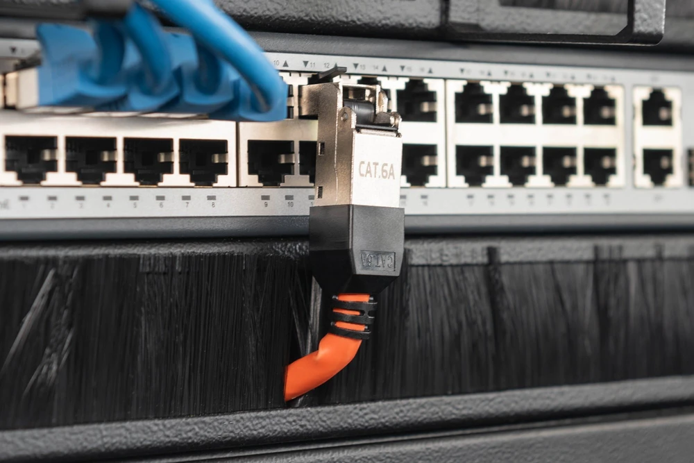 Digitus DIGITUS CAT 6A lauko kištukas, lankstomas, apsauginis dangtelis nuo dulkių