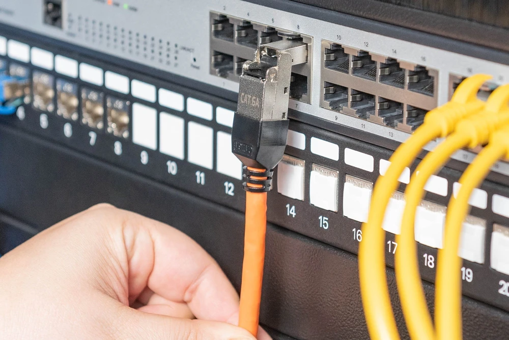 Digitus DIGITUS CAT 6A lauko kištukas, lankstomas, apsauginis dangtelis nuo dulkių
