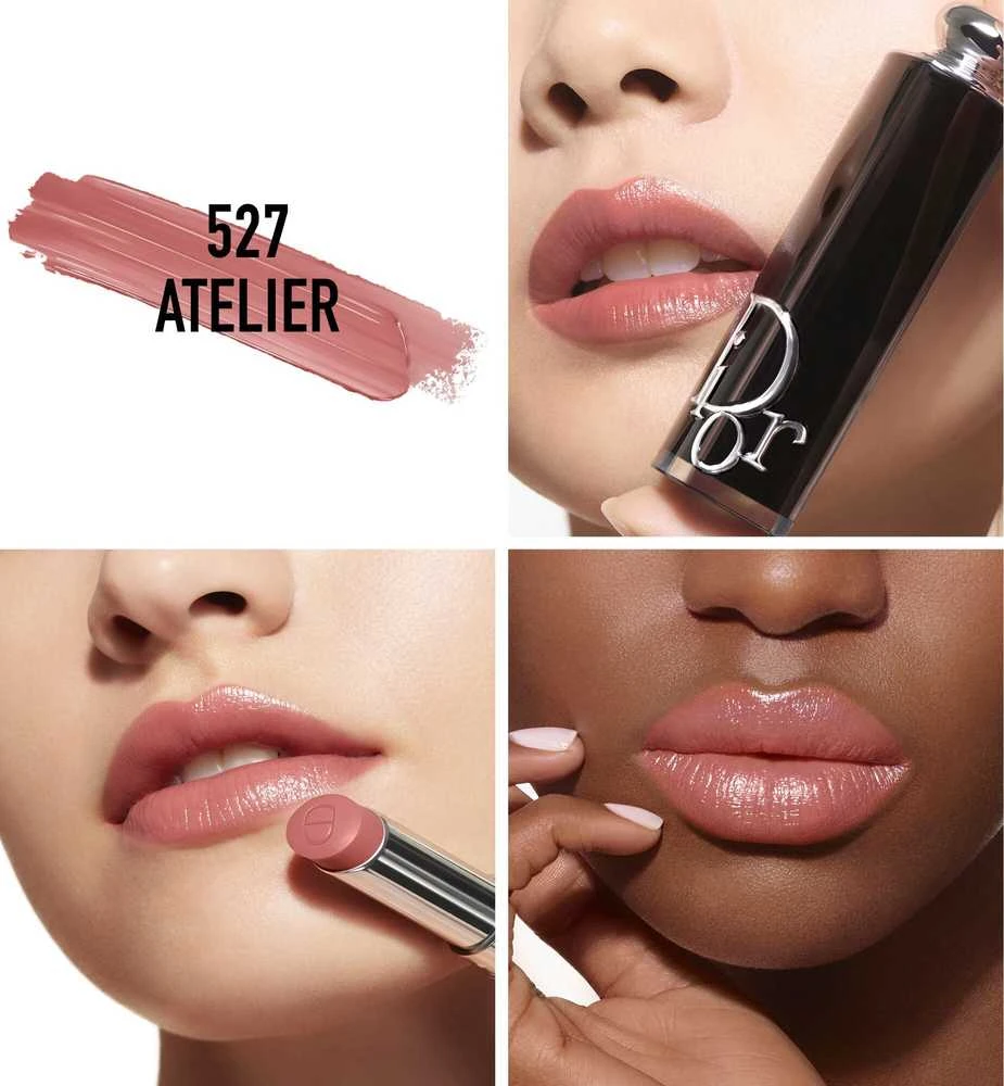 Dior Addict lūpų dažai lūpų dažai 527 1vnt