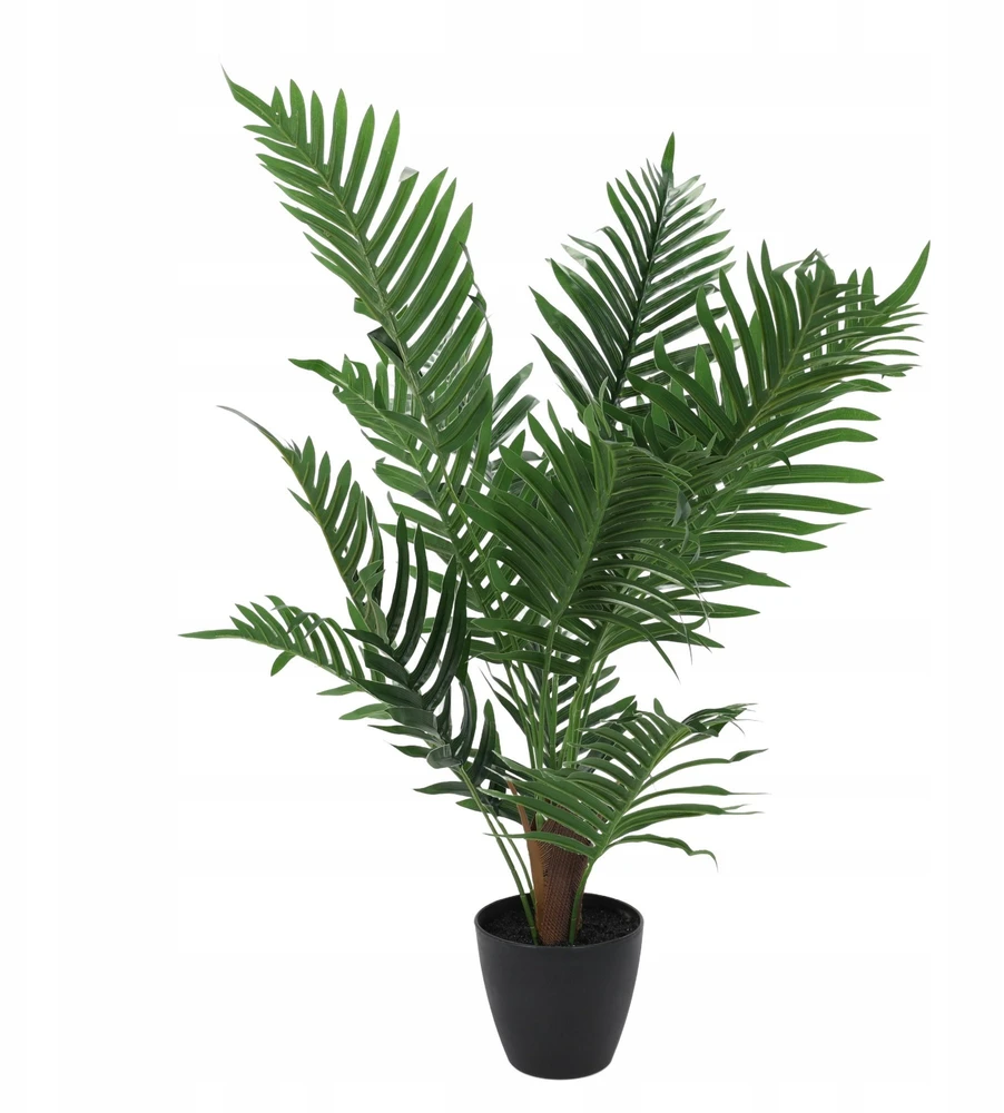 Dirbtinė palmė NOVA, Ø 50 x 85 cm