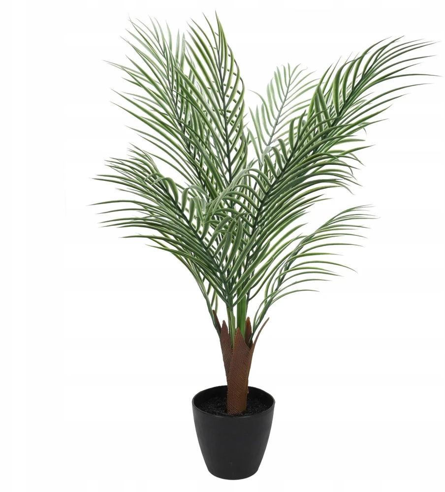 Dirbtinė palmė NOVA, Ø 50 x 85 cm