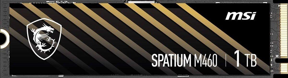 Kietasis diskas SPATIUM M460 PCIe 4.0 NVMe M.2 (1TB)