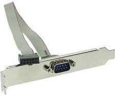 Premiumcord DIGITUS Serial Slot Bracket Bracket adapterio kabelis, DB9, D-Sub9/M - IDC 2x5pin/F, 0,25m, AK-610300-003E