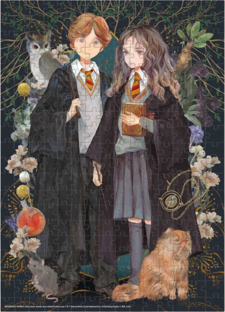Dodo Dėlionė „Haris Poteris - Hermiona ir Ronas“ 300 detalių dėlionė „Wizards“