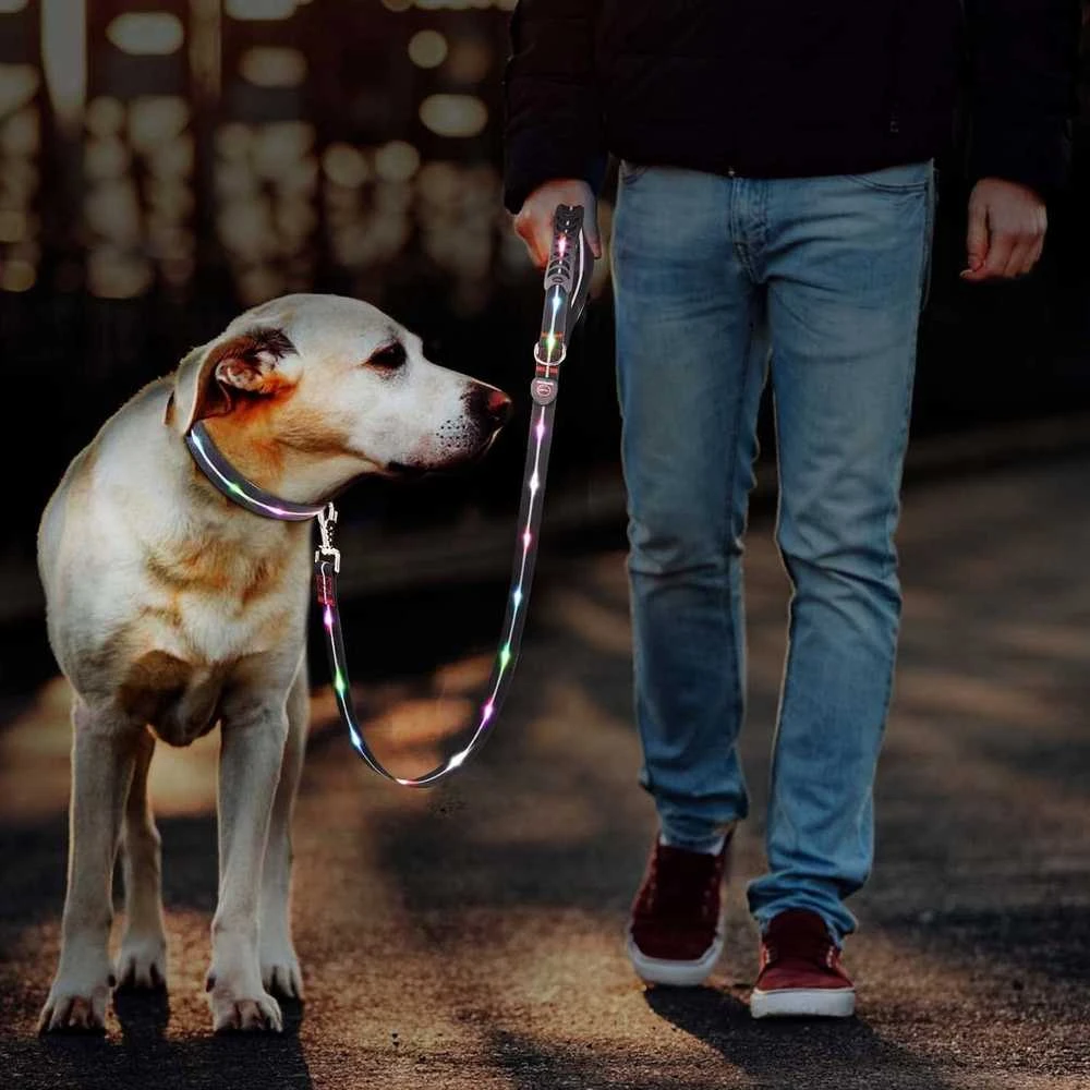 DOGGY VILLAGE Signal pavadėlis MT7120 red - LED dog pavadėlis - 1.2 m