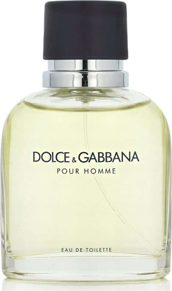 Kvepalai vyrams Dolce & Gabbana Pour Homme EDT, 75 ml