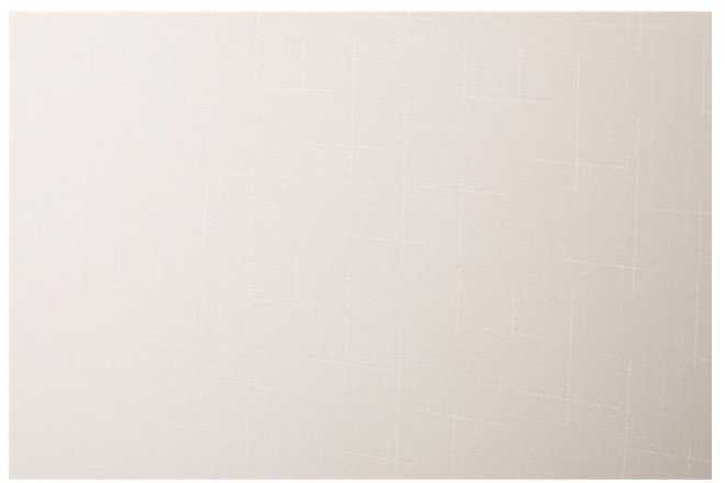 Domoletti ROLLER BLIND SHANTUNG 875 90X230
