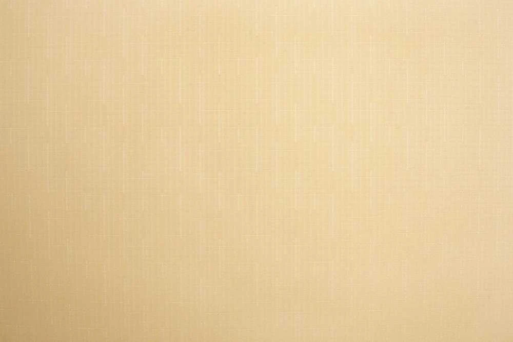 Domoletti ROLLER BLIND SHANTUNG 877 140X170