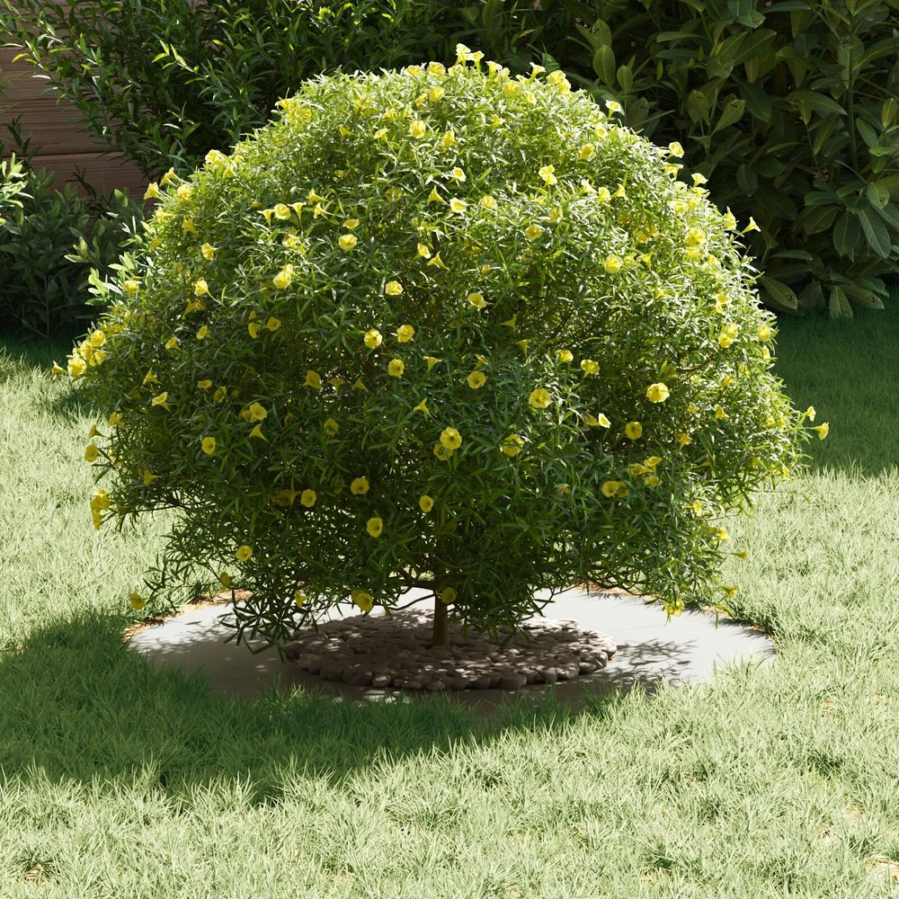 tinkamas plokščiam medžio žiedui Balta Ø30/60 cm Plienas