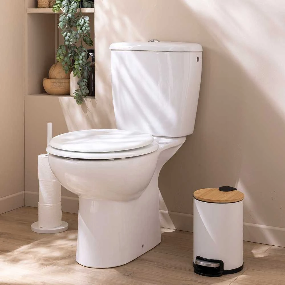 Šiukšliadėžė Douceur d`Interieur Šiukšliadėžė su cichym domykaniem 3 l MOBELLE