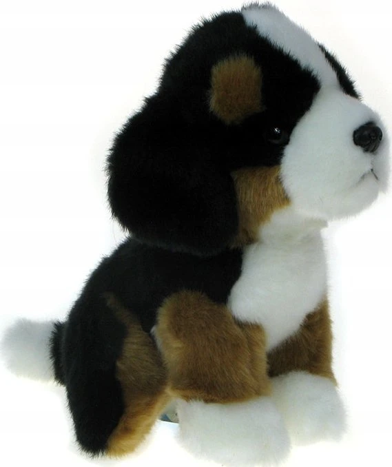 Dubi Pliušinis žaislas - berno zenenhundas, 19 cm