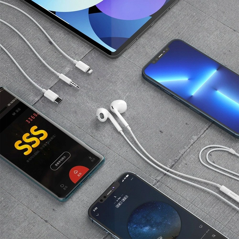 Dudao In-Ear Ausinės with USB Type-C Connector Baltas (X14PROT)