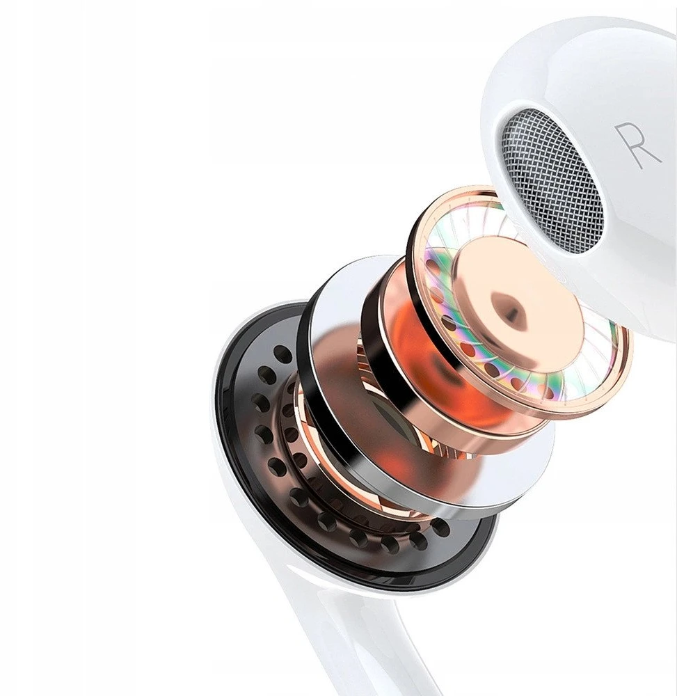 Dudao In-Ear Ausinės with USB Type-C Connector Baltas (X14PROT)