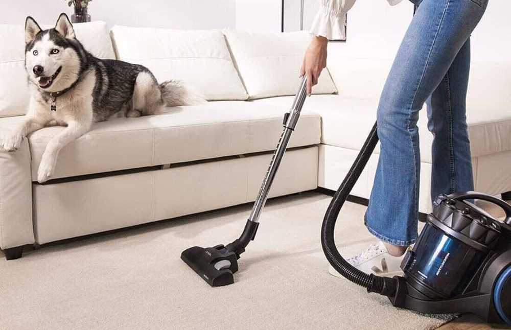 Dulkių siurblys Cecotec Dulkių siurblys Conga Rockstar Multicyclonic Compact XL Animal