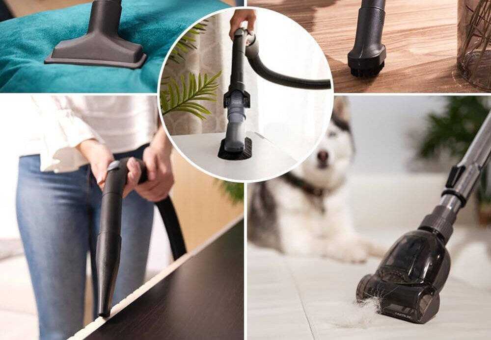 Dulkių siurblys Cecotec Dulkių siurblys Conga Rockstar Multicyclonic Compact XL Animal
