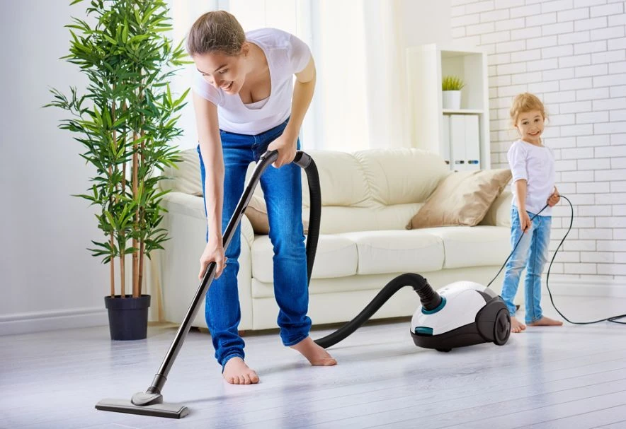 Dulkių siurblys Vacuum cleaner Eldom OS900 PEGAZ