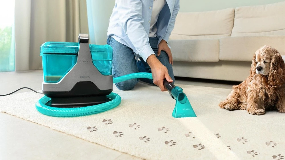 Dulkių siurblys Cecotec Conga 600 Carpet&Spot Clean XXL Advance plovimo siurblys